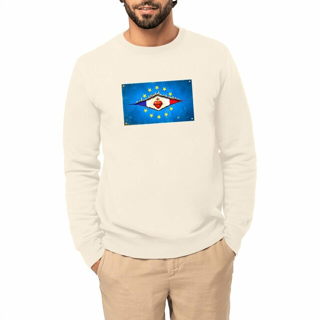 Image front ❀ Sweat-Shirt Épais Unisexe ~Premium+ ✧ DÉCHIRURE FRANCE/EUROPE [🌐 FR] ✨