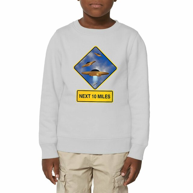 Image front ❀ Sweat-Shirt Épais Unisexe Enfant ~Premium+ ✦ UFO ALERT [🌐 EN] ✨