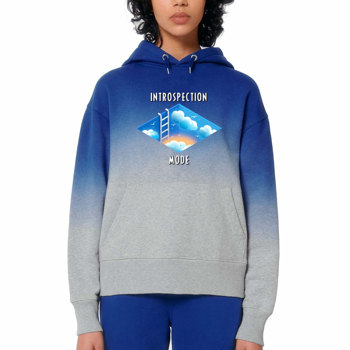visual_Bleu