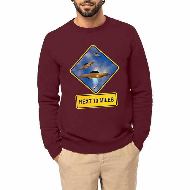 Image front ❀ Sweat-Shirt Épais Unisexe ~Premium+ ✦ UFO ALERT [🌐 EN] ✨