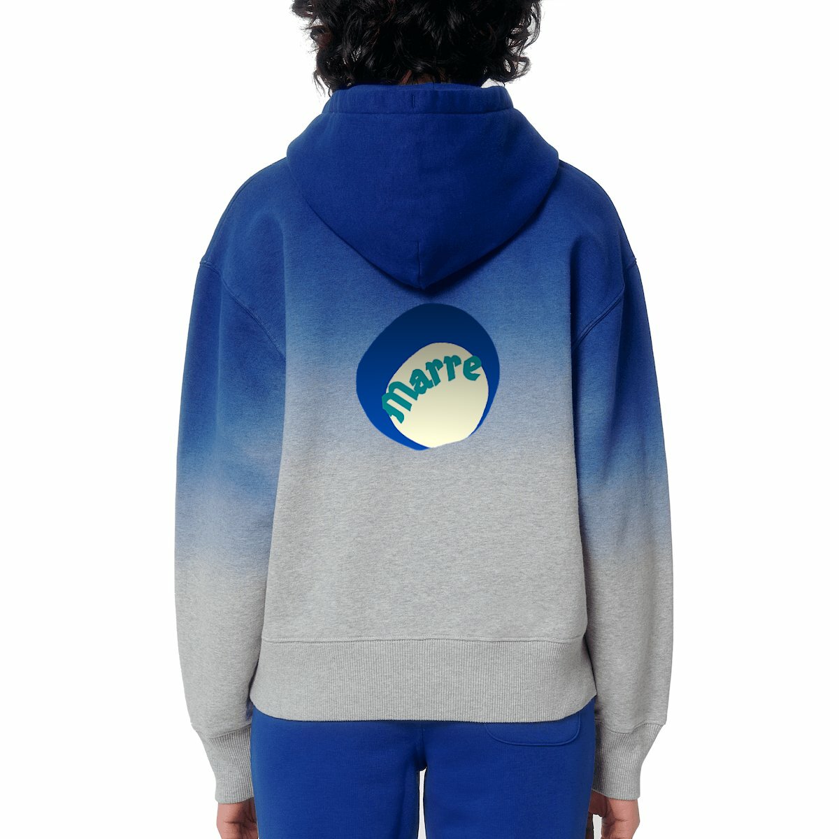 visual_Bleu