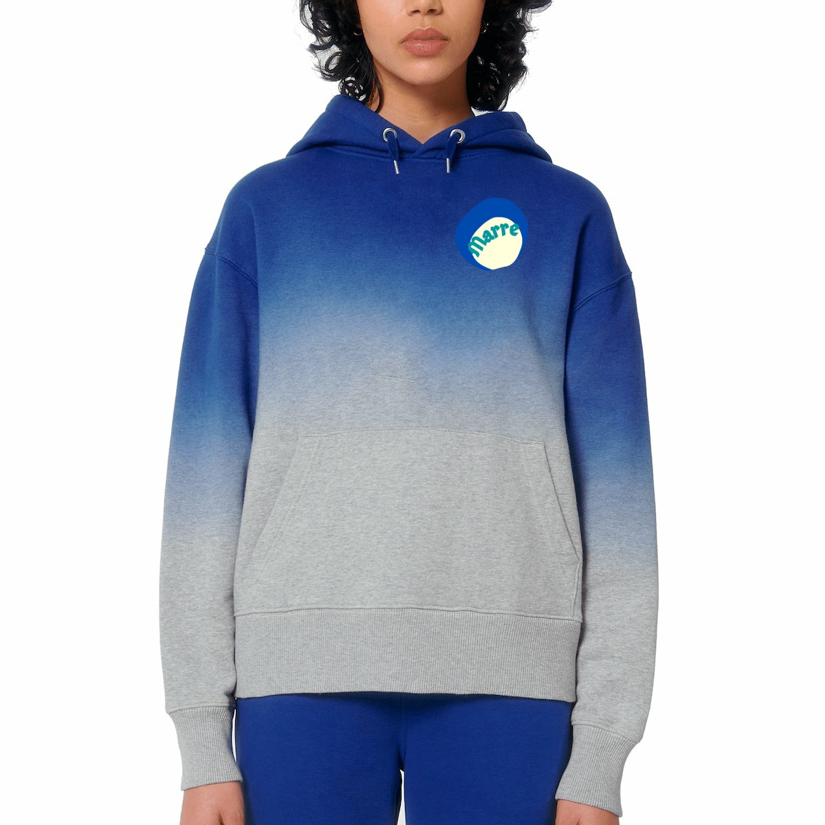 visual_Bleu