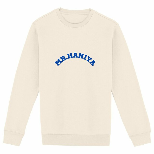Image back Sweat Homme chic, élégant, classique style ARIZONA