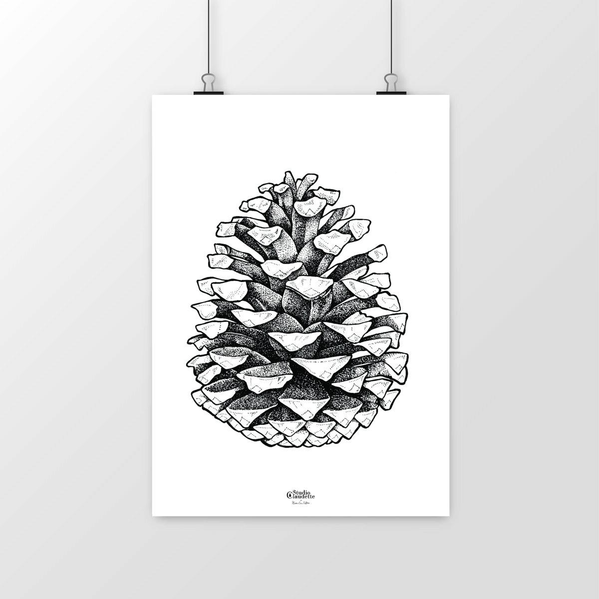 Image front Affiche Pigne