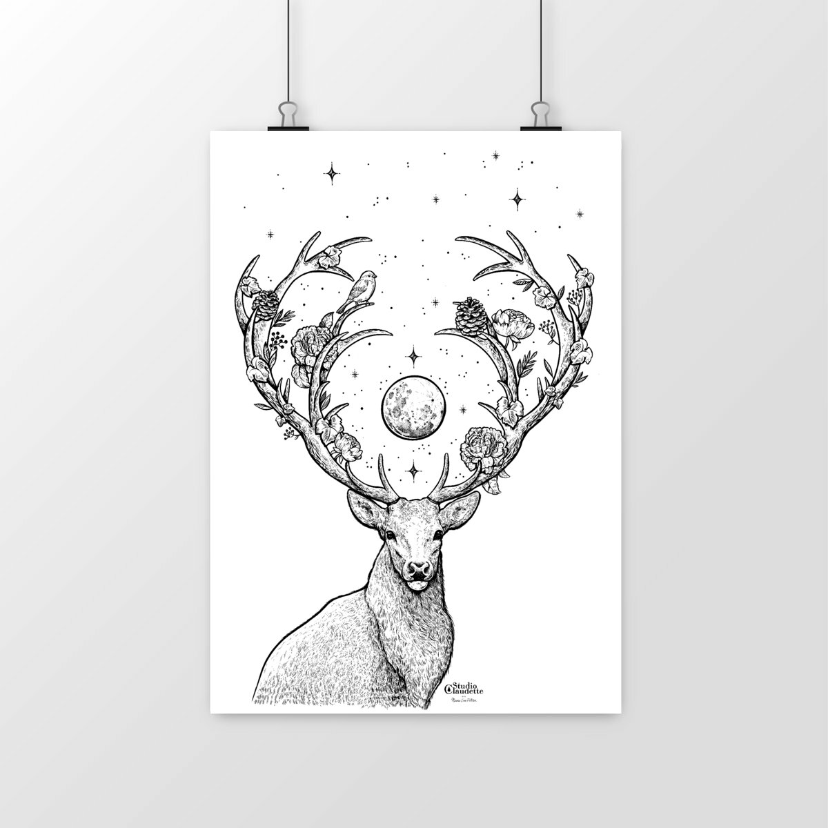 Image front Cerf Celeste