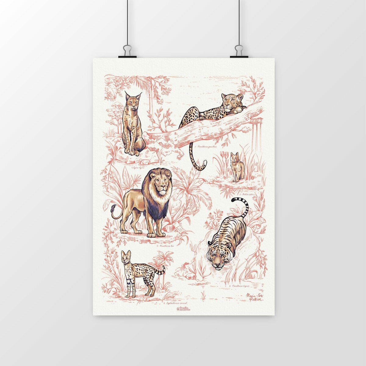 Image front Les Felins Rosé