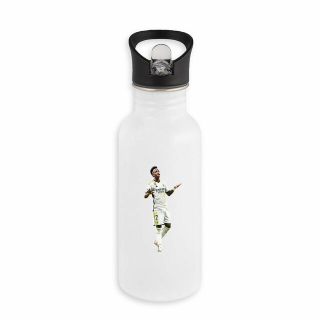 Image back Bouteille en inox avec paille