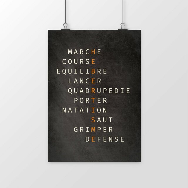 Poster 10 familles noir