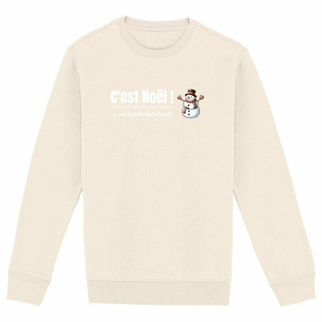 Image back Pull de Noël éthique - avec slogan original - Coton bio et polyester recyclé
