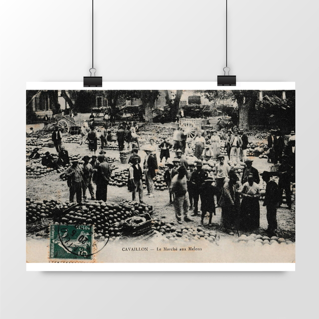 Image front Affiche CAVAILLON - Le Marché aux Melons