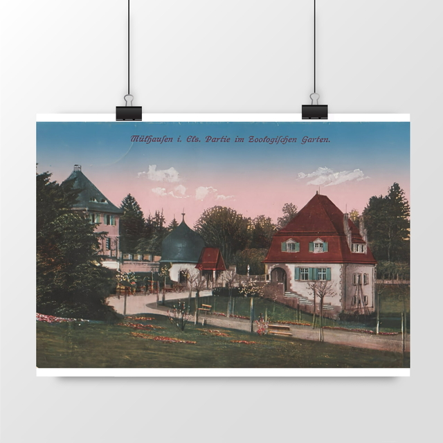 Image front Affiche MULHOUSE - Partie im Zoologifchen Garten