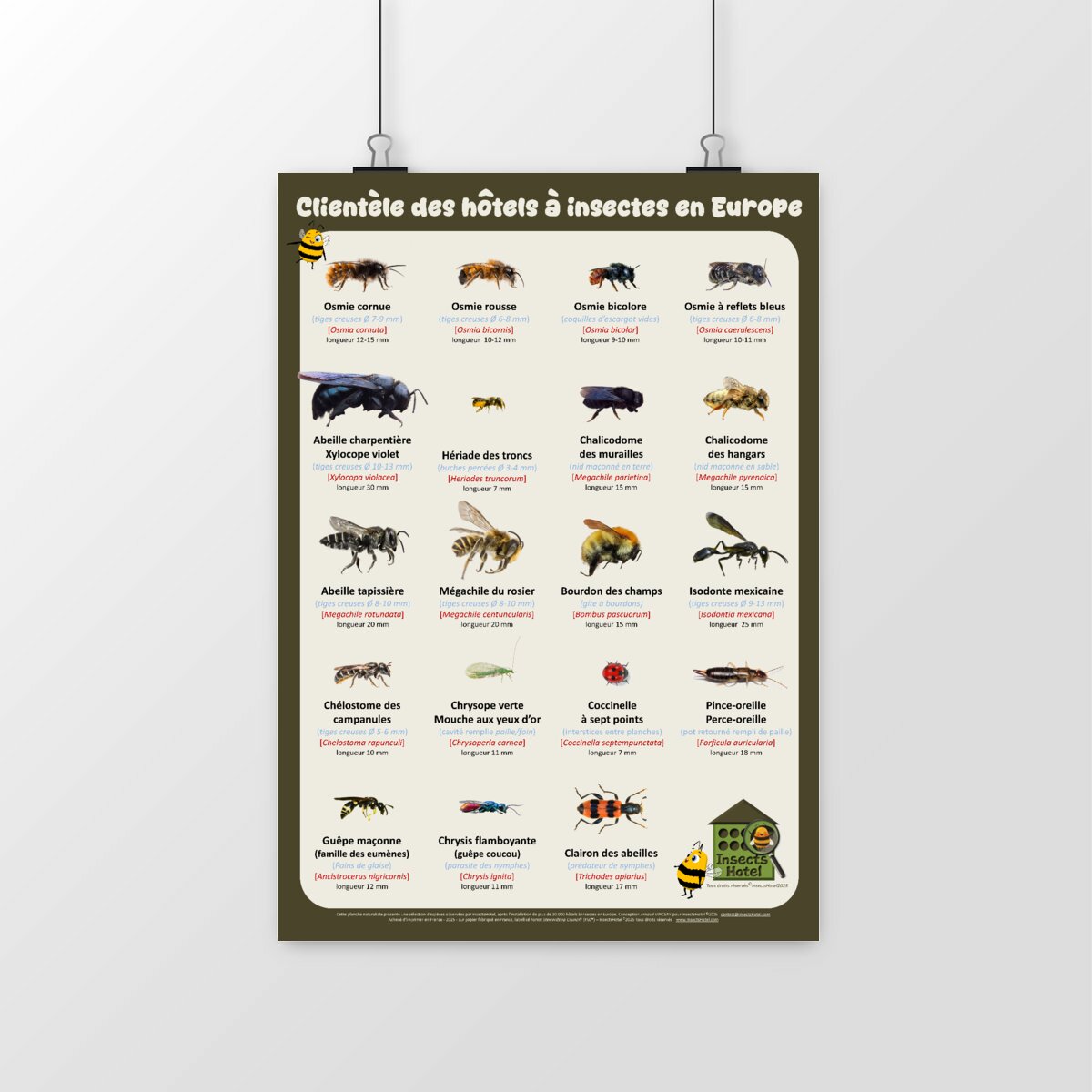 Image front Poster - Clientèle des hôtels à insectes en Europe