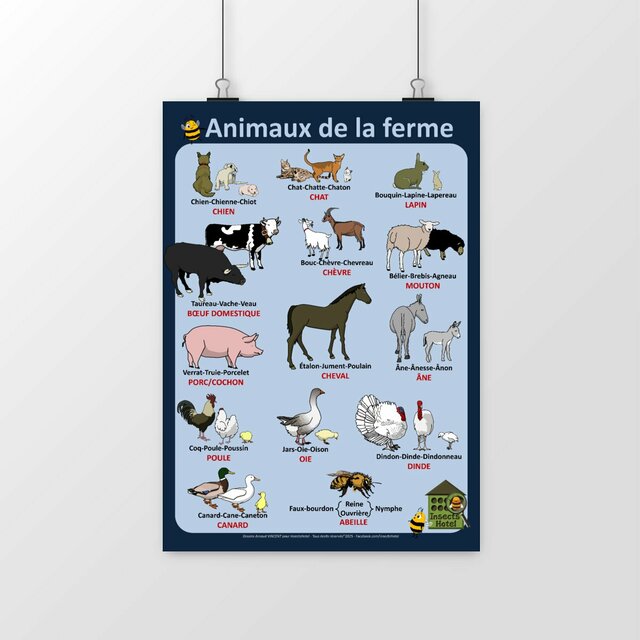Image front Poster - Les animaux de la ferme