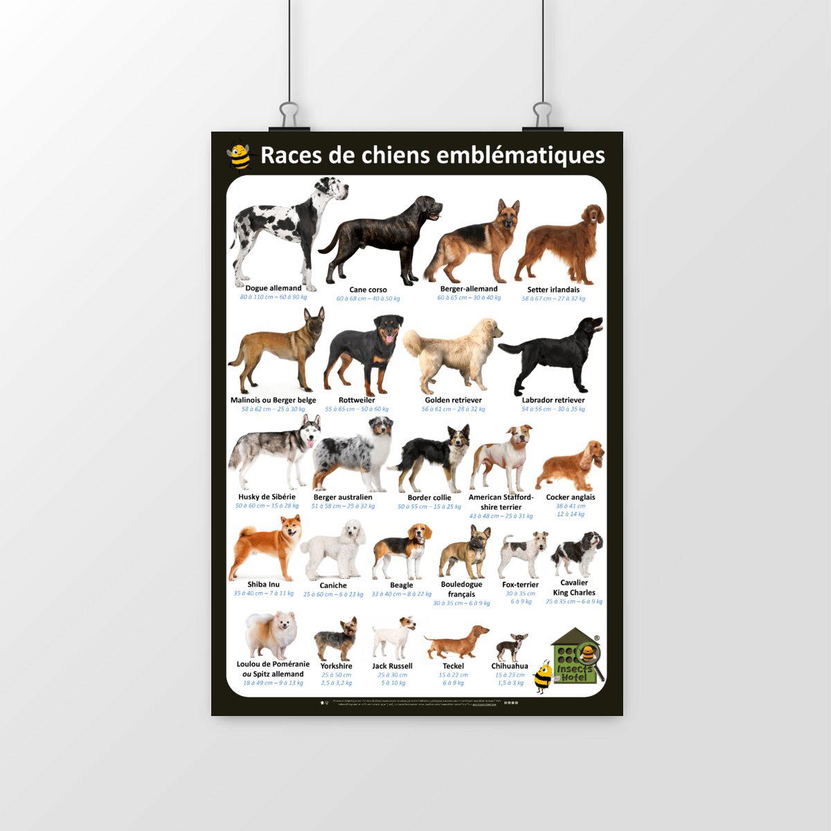 Image front Poster - Races de chiens emblématiques