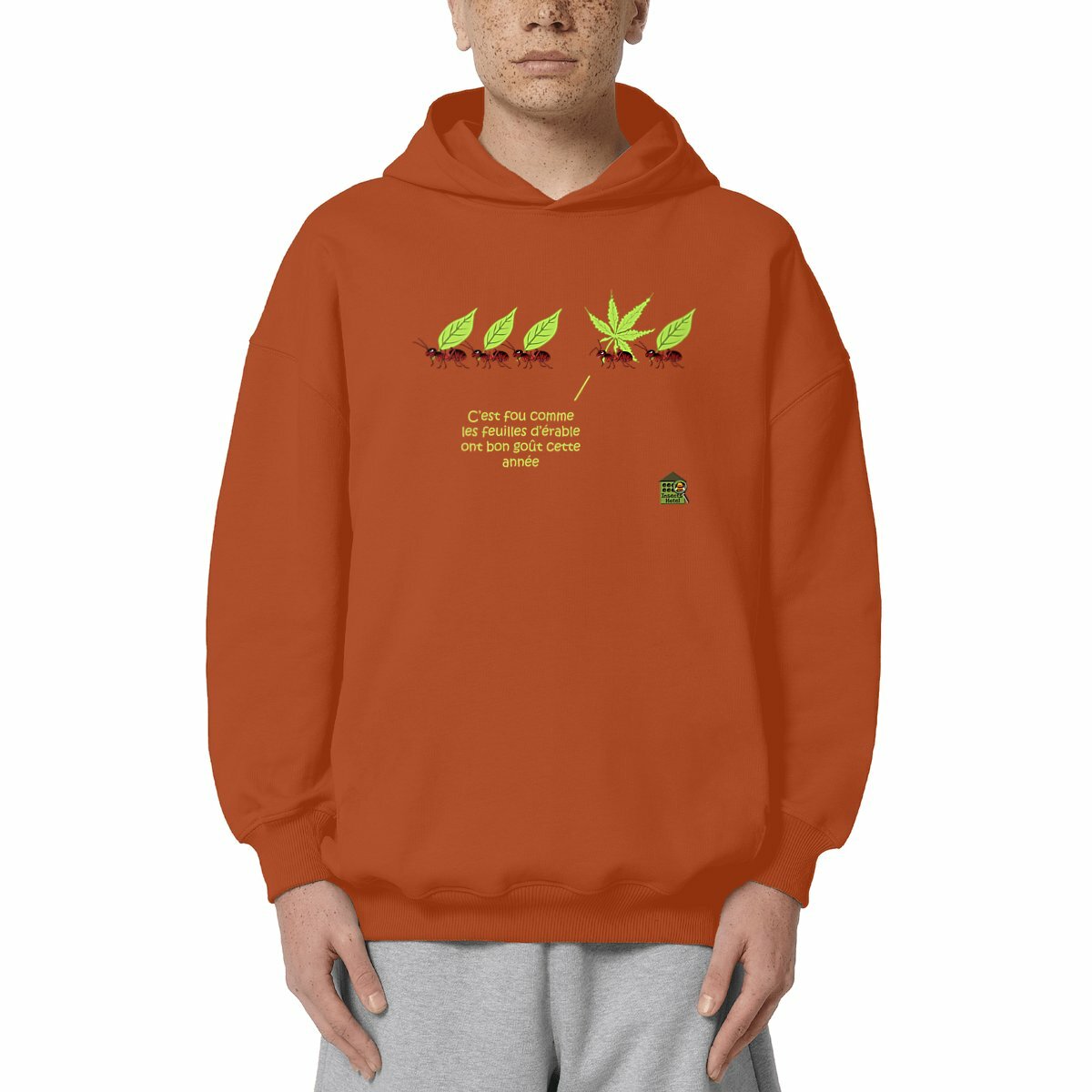 visual_Orange