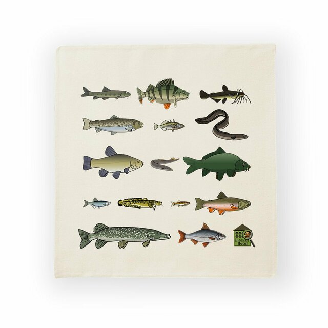 Image front Housse de coussin 100% coton (40 X 40 cm) - "Poissons eau douce d'Europe"
