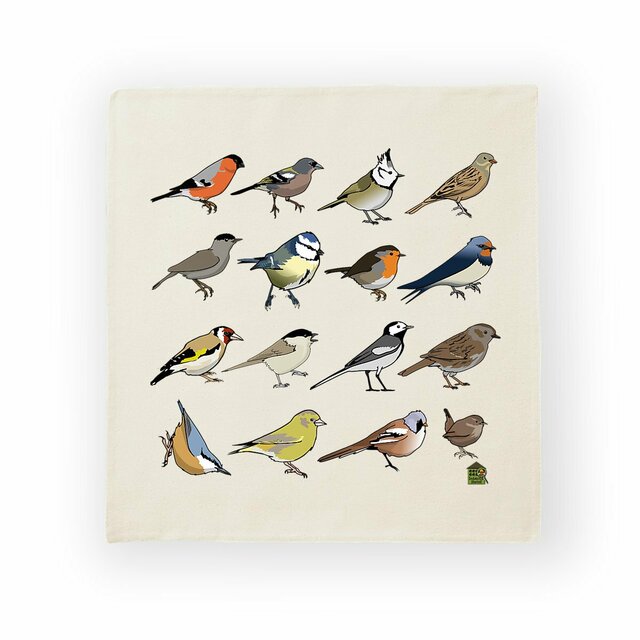 Image front Housse de coussin 100% coton (40 X 40 cm) - "Passériformes d'Europe"