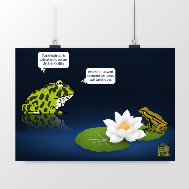 Image front Poster - "Calcul de grenouille"
