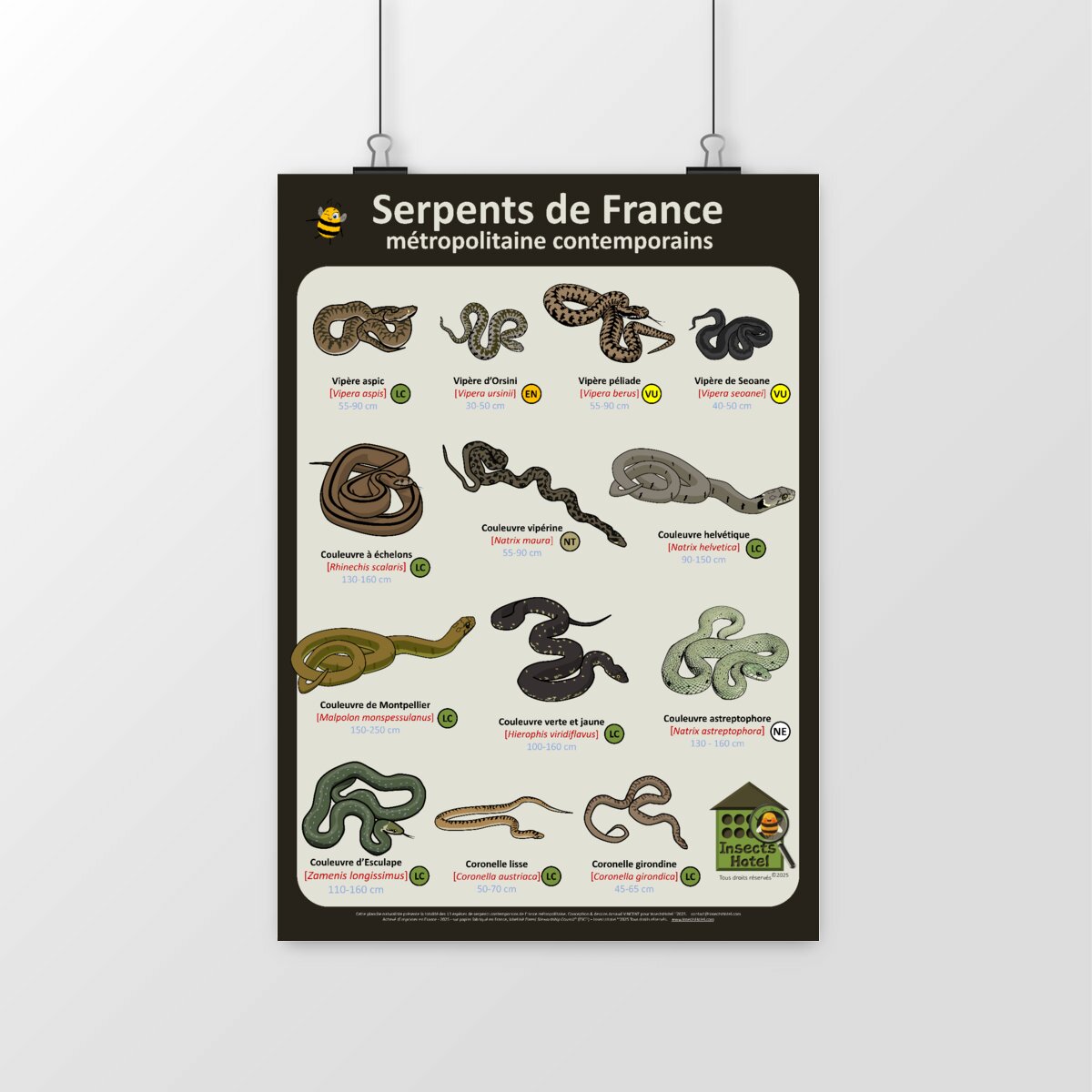 Image front Poster - Serpents de France métropolitaine