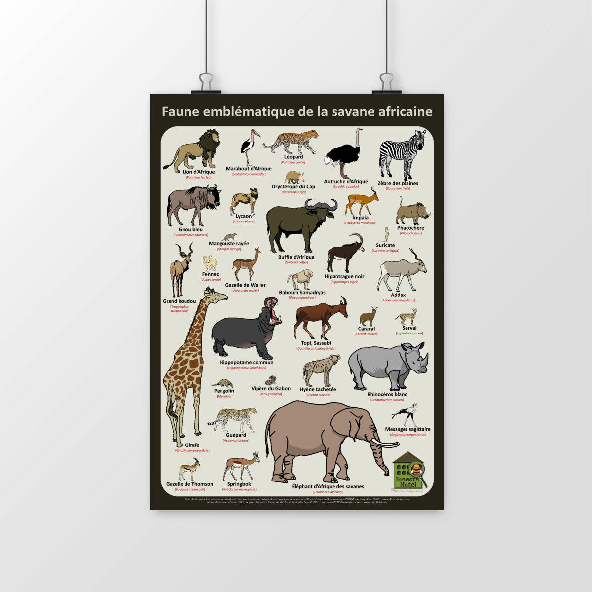 Image front Poster - Faune emblématique de la savane africaine