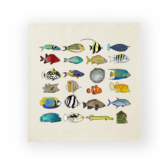 Image front Housse de coussin 100% coton (40 X 40 cm) - "Actinoptérygiens des tropiques"