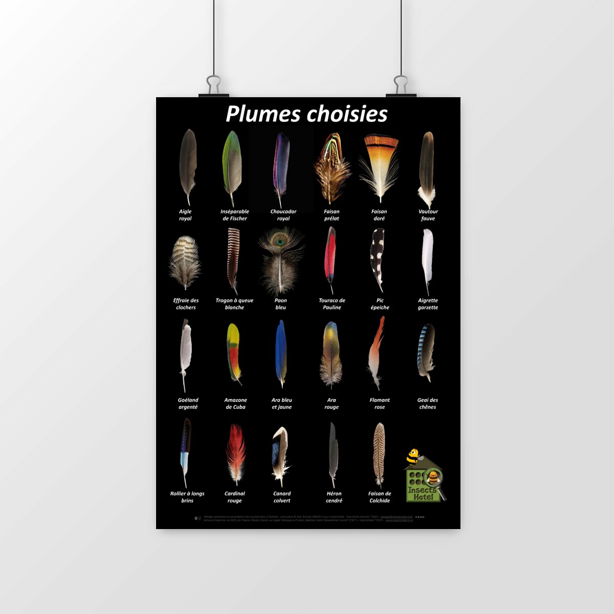 Image front Poster - Plumes choisies