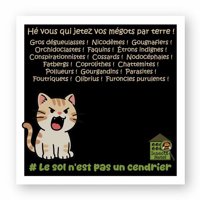 Image front Autocollant - Le sol n'est pas un cendrier