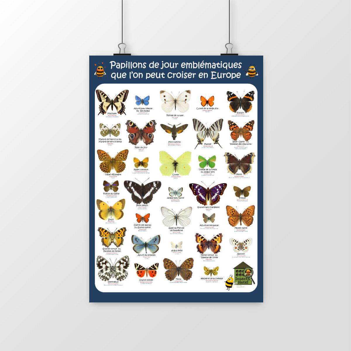 Image front Poster - Papillons de jour emblématiques Europe