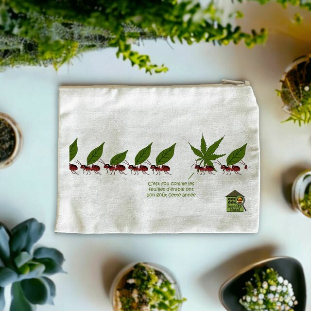 Image front Pochette - "Feuilles d'érable"