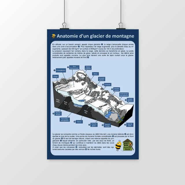 Image front Poster - Anatomie d'un glacier de montagne