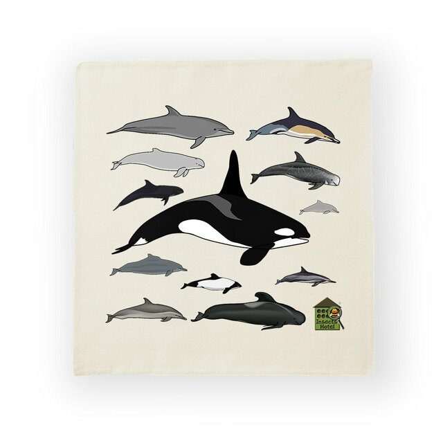 Image front Housse de coussin 100% coton (40 X 40 cm) - "Delphinidés du monde"