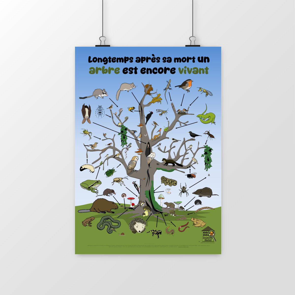 Image front Poster - "La vie d'un arbre mort"
