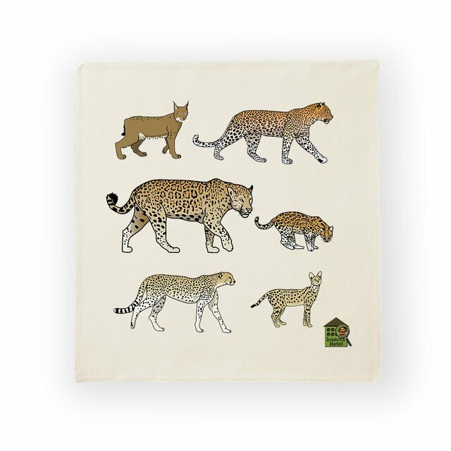 Image front Housse de coussin 100% coton (40 X 40 cm) - "Félins"