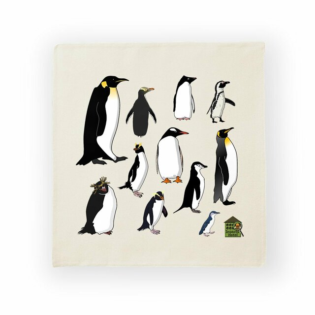 Image front Housse de coussin 100% coton (40 X 40 cm) - "Manchots"