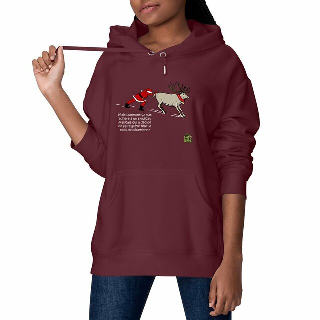 Image front Sweat à capuche épais - homme ou femme - Modèle "Pull de Noël"