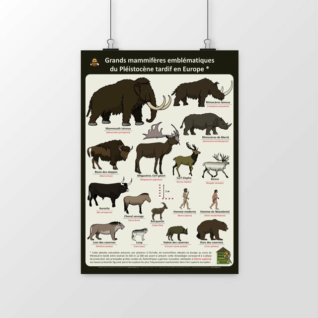 Image front Poster - Grands mammifères emblématiques du Pléistocène tardif en Europe