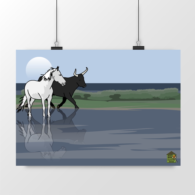 Image front Poster - La Camargue vue par InsectsHotel