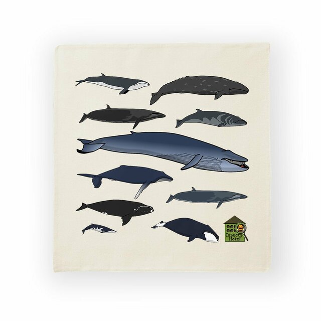 Image front Housse de coussin 100% coton (40 X 40 cm) - "Baleines du monde entier"