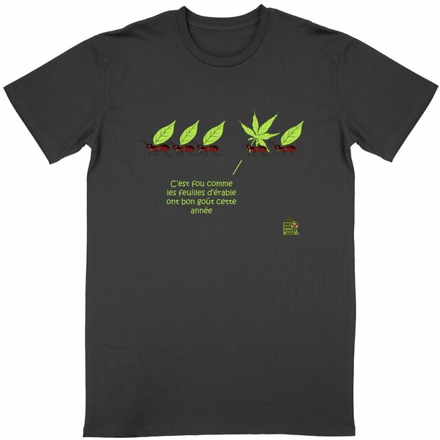 Image front T-shirt - femme ou homme - "Feuille d'érable"