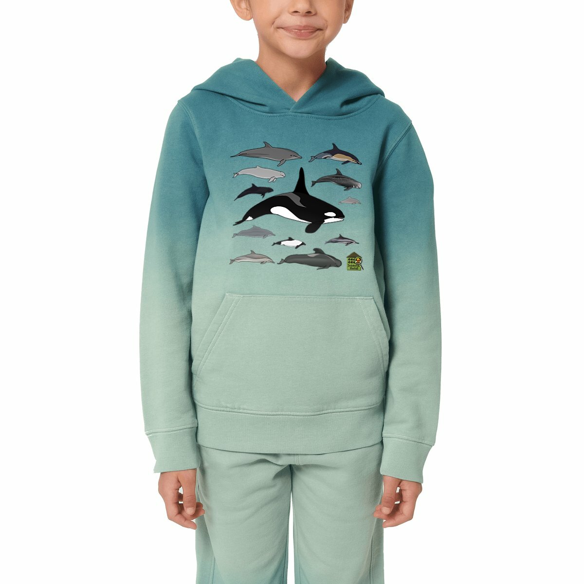 Image front Sweat à capuche Dip Dye oversized - enfant - "Delphinidés du monde"