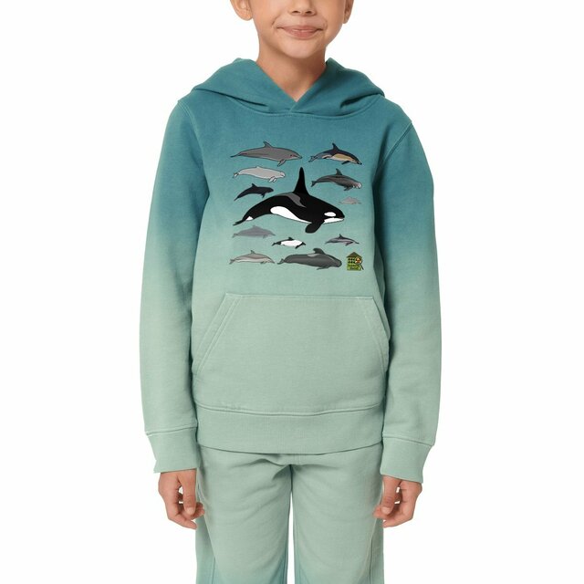 Image front Sweat à capuche Dip Dye oversized - enfant - "Delphinidés du monde"
