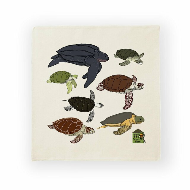 Image front Housse de coussin 100% coton (40 X 40 cm) - "Tortues marines"