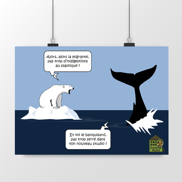 Image front Poster - "Chambrage arctique"