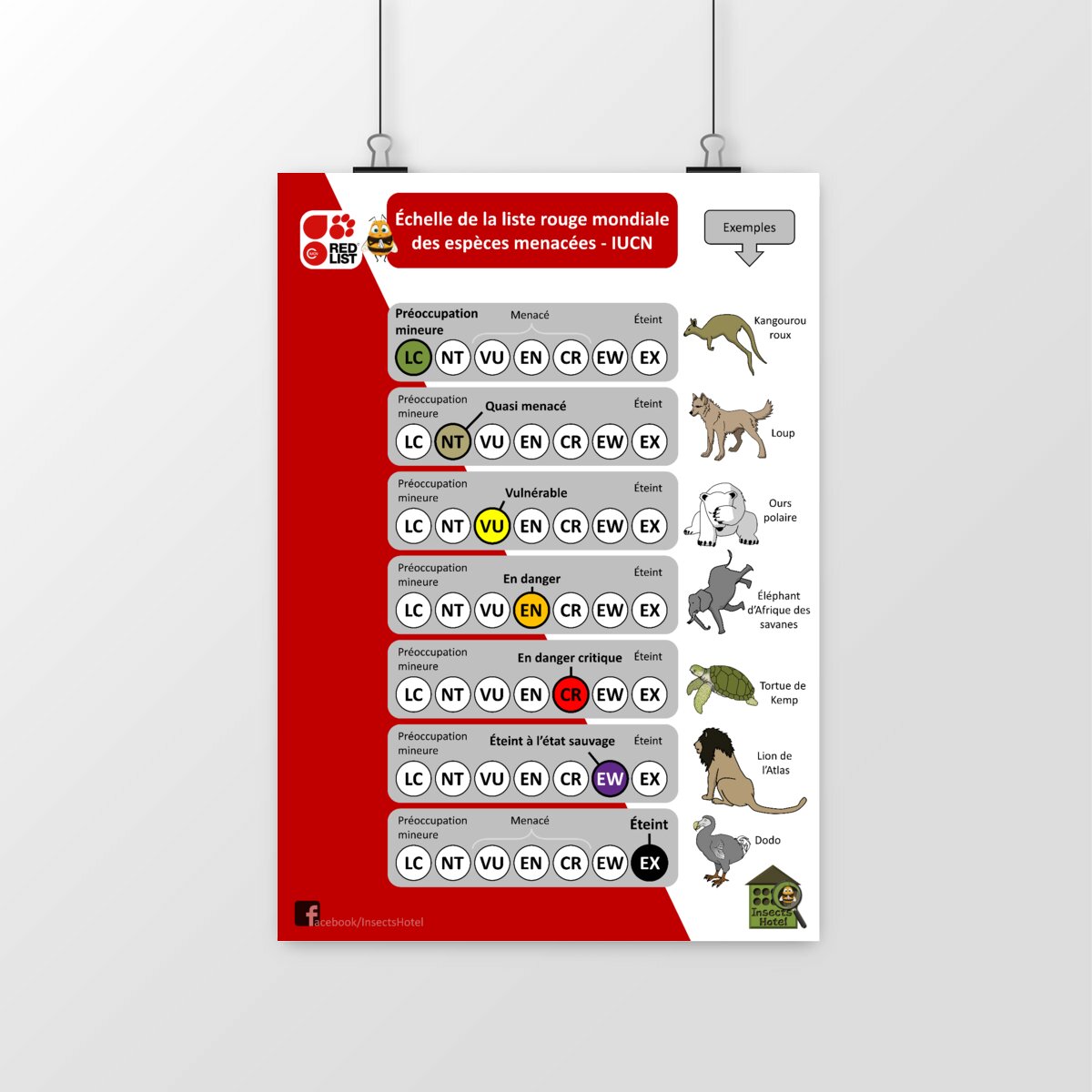 Image front Poster - Echelle de la liste rouge des espèces menacées (IUCN)