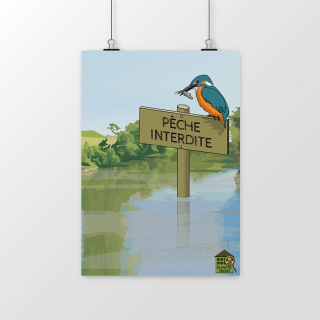 Image front Poster - "Martin-pêcheur"