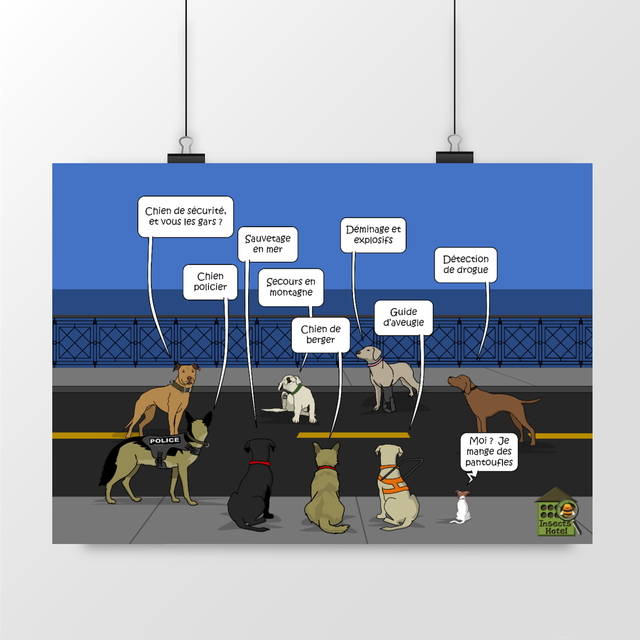 Image front Poster - "A nos héros et compagnons"