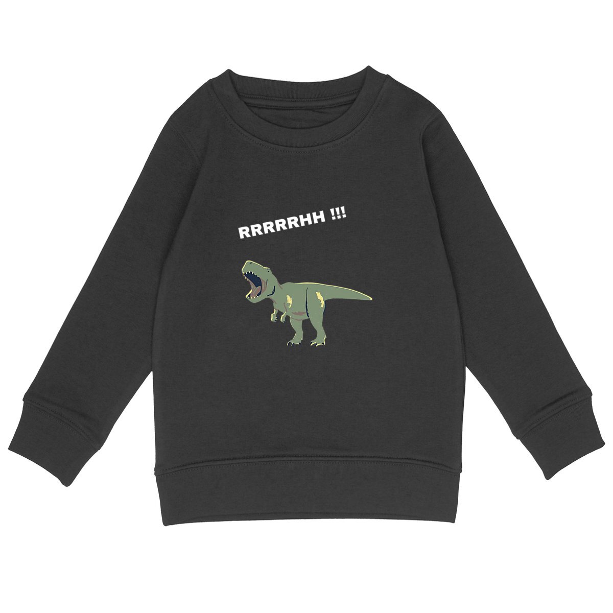 Image back Pull "Dinosaure RRHH"