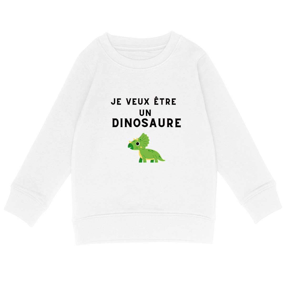 Image front Pull "Je veux être un dinosaure"