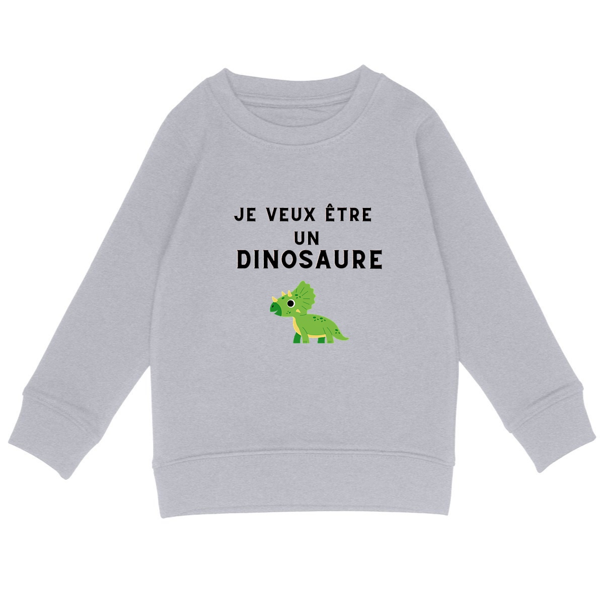 Image back Pull "Je veux être un dinosaure"