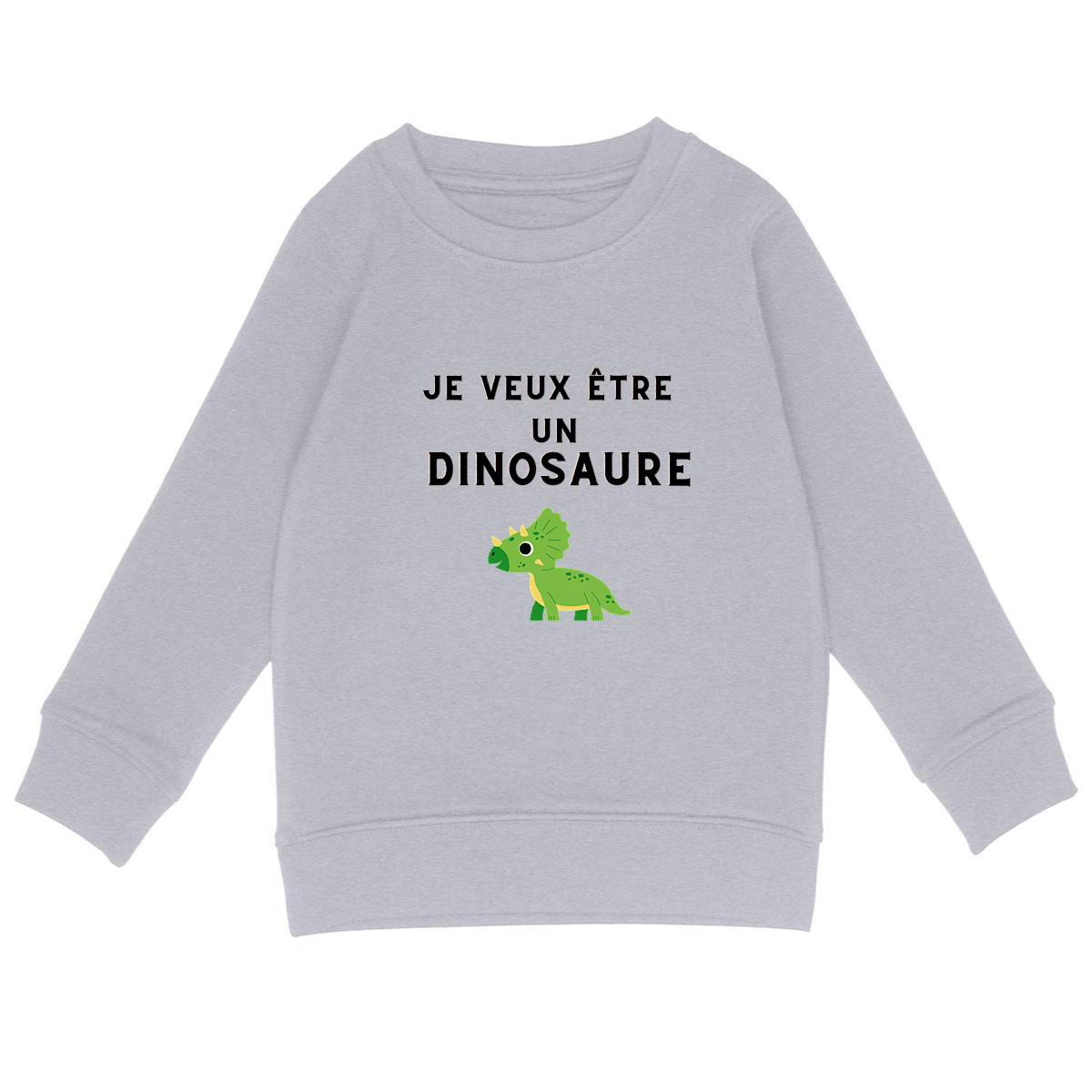 Image back Pull "Je veux être un dinosaure"